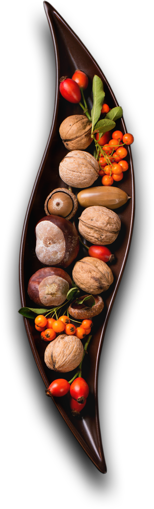 Patna Event and Catering Services