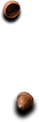 Classic Catering Services in Patna