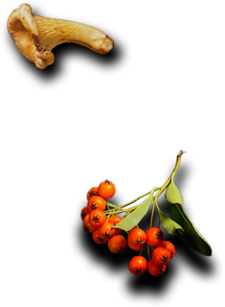 Best Catering Services in Patna